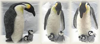 皇帝ペンギンの親子.jpg